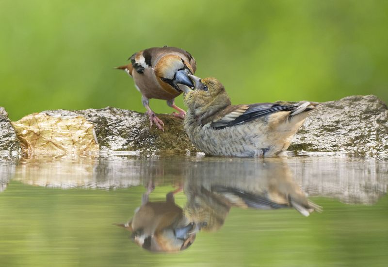 Завтрак фото превью