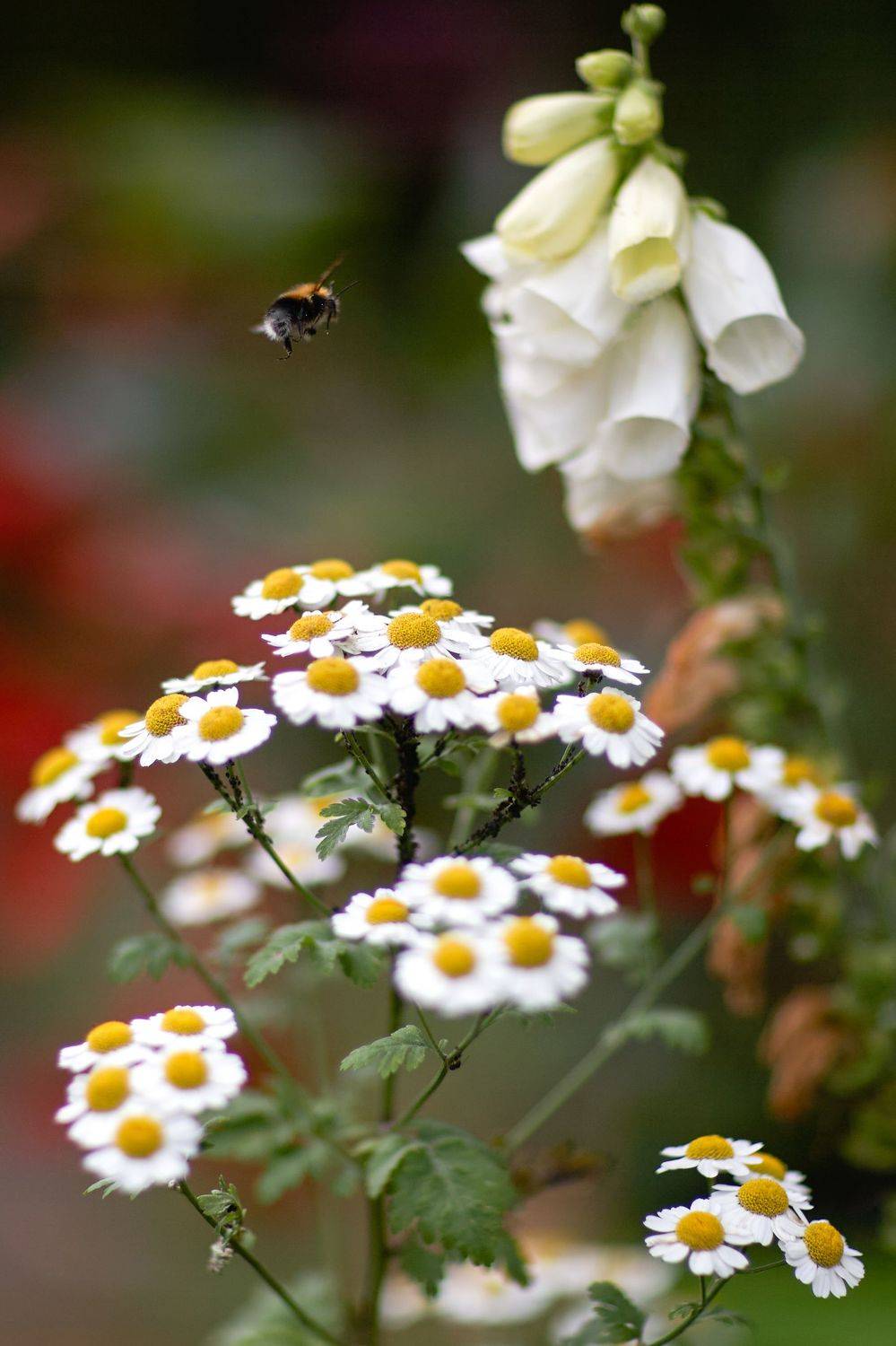 , Алексей Гуляев