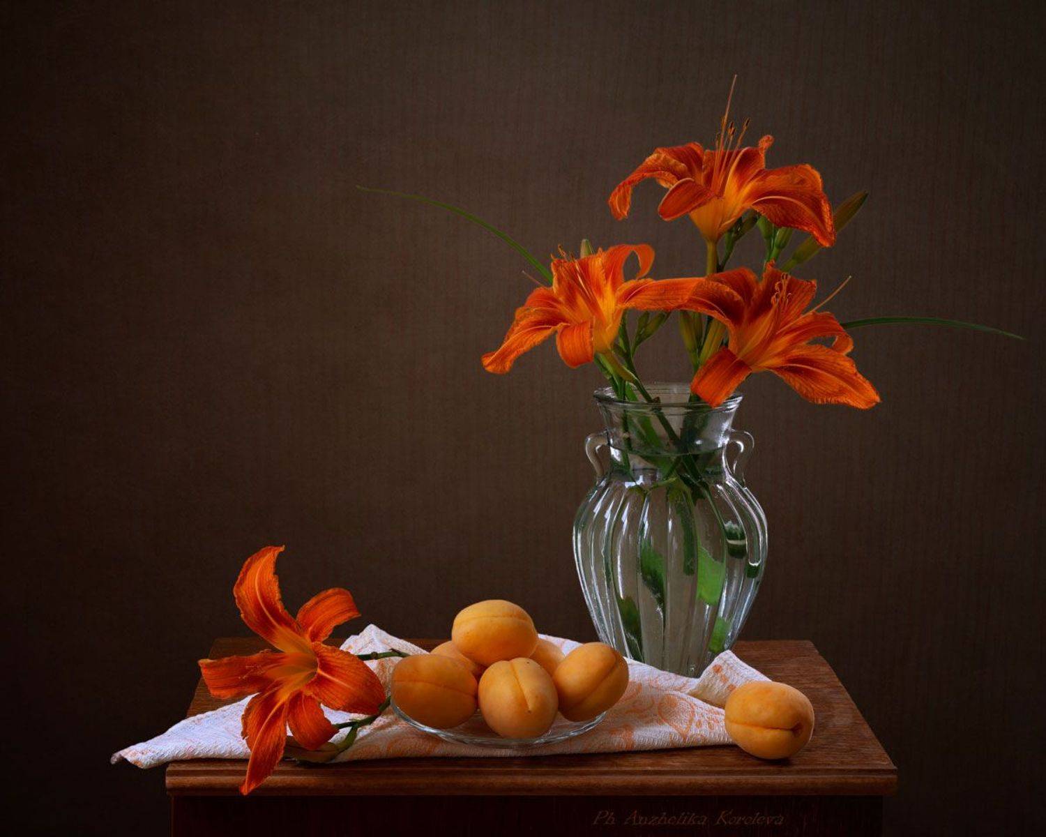 , Анжелика Королева