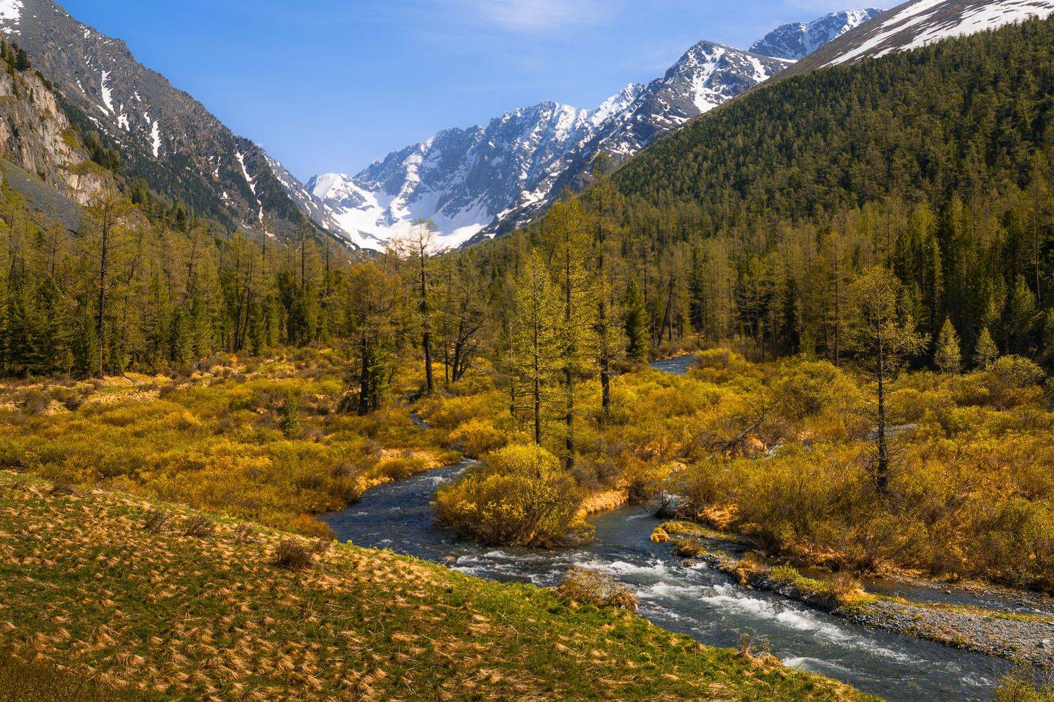 россия, горный алтай,куйгук,июнь, Андрей Поляков