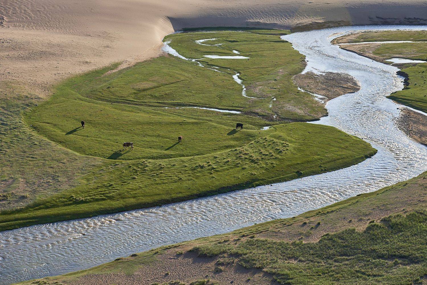 , Андрей Ростовцев