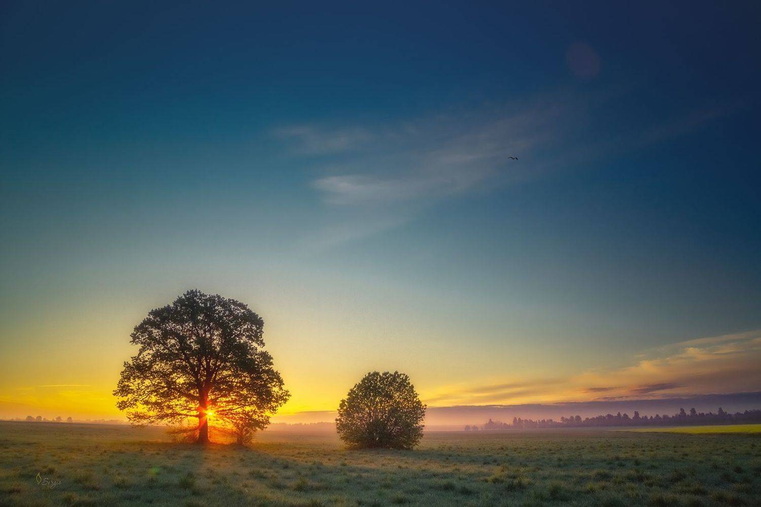 Беларусь, Серж Домбровский