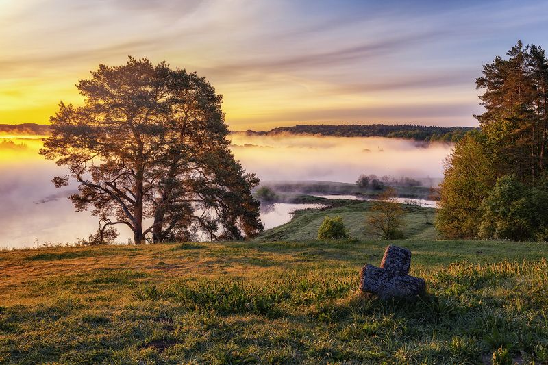 Пушкиногорье, Савкина горка фото превью