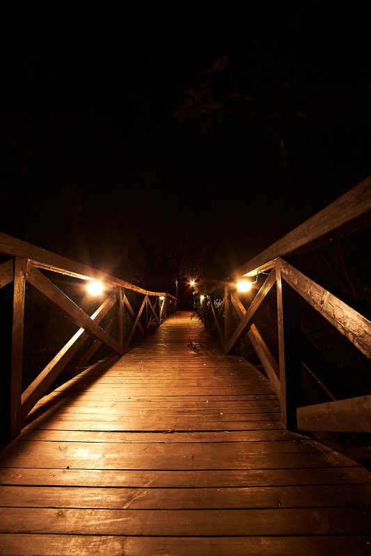 bridge, volgograd, russia, night, The bridge фото превью