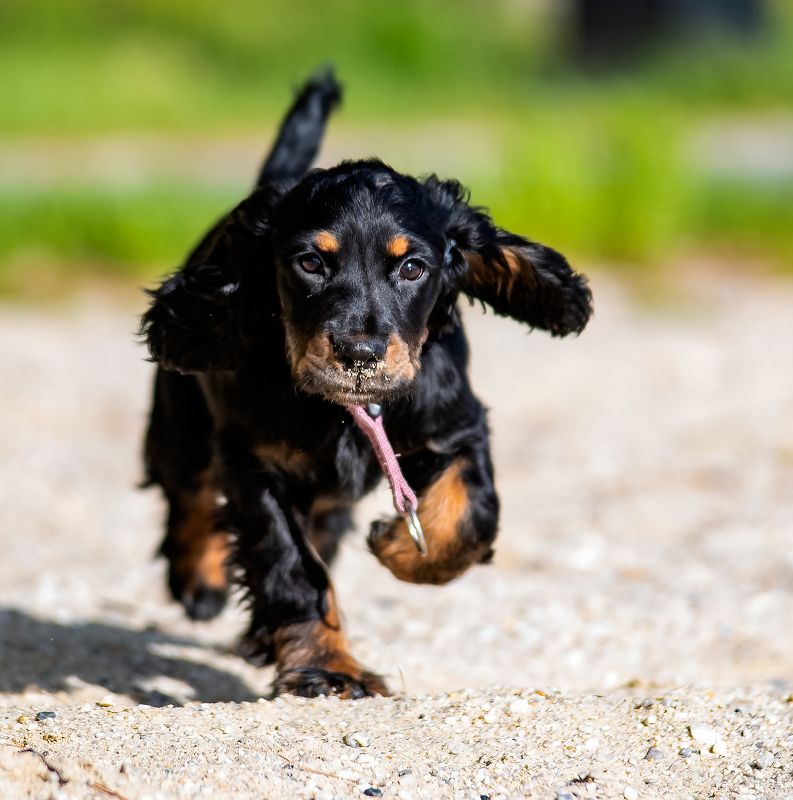 Ника Ника фото превью