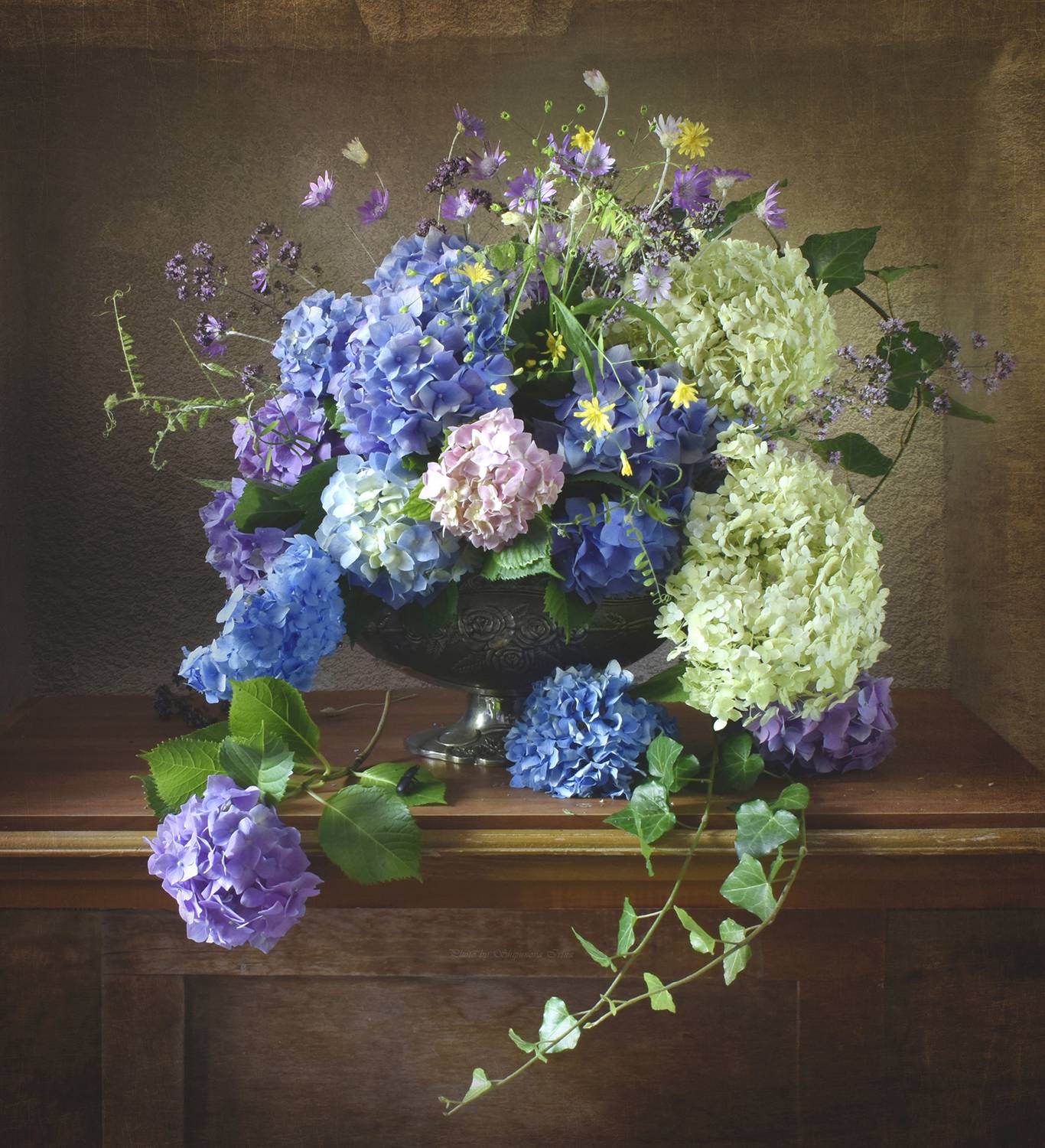 , Ирина Шипунова