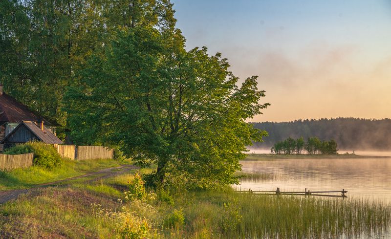 На берегу Климковского пруда. фото превью