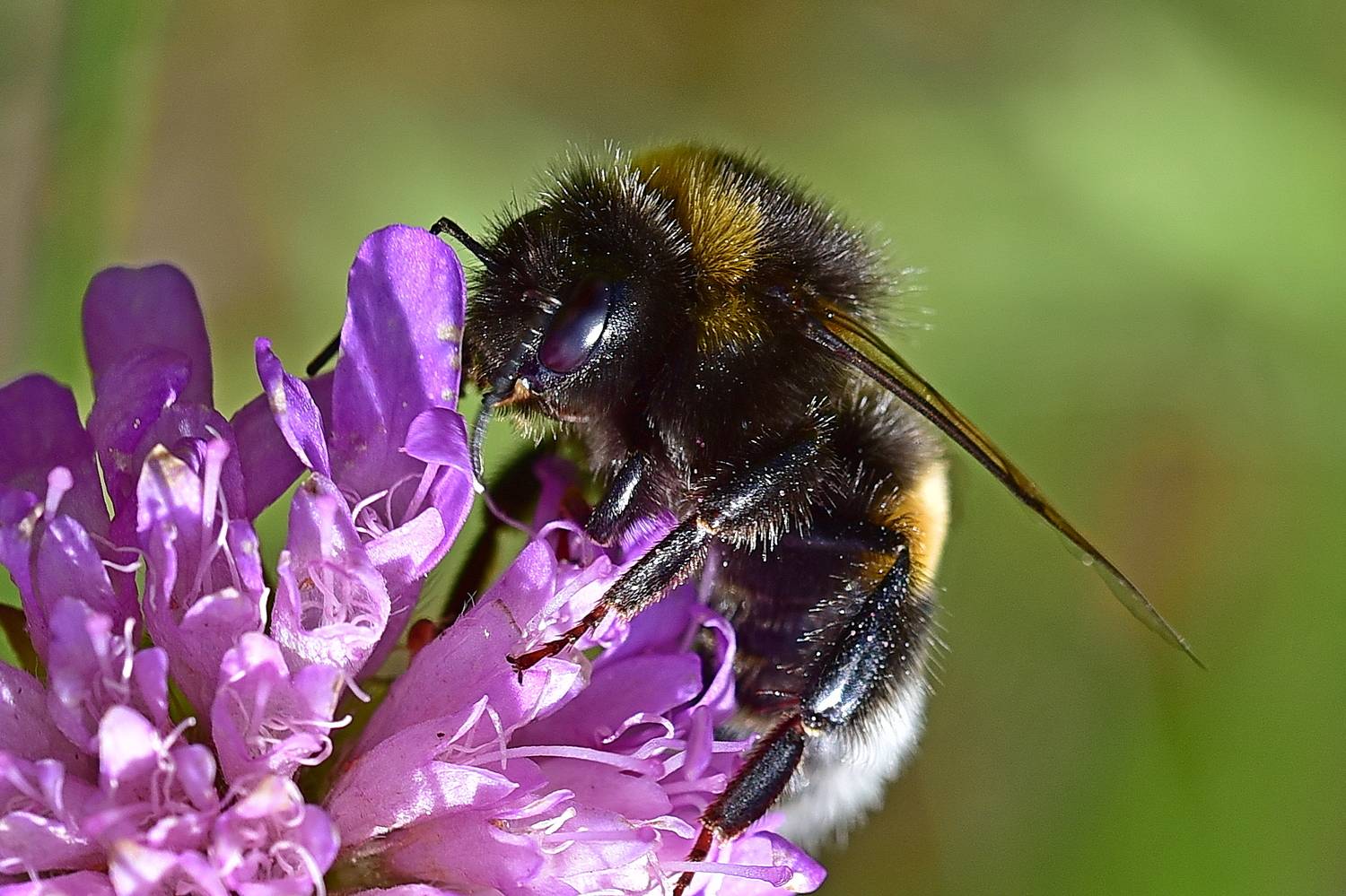 , Корнейчук Игорь