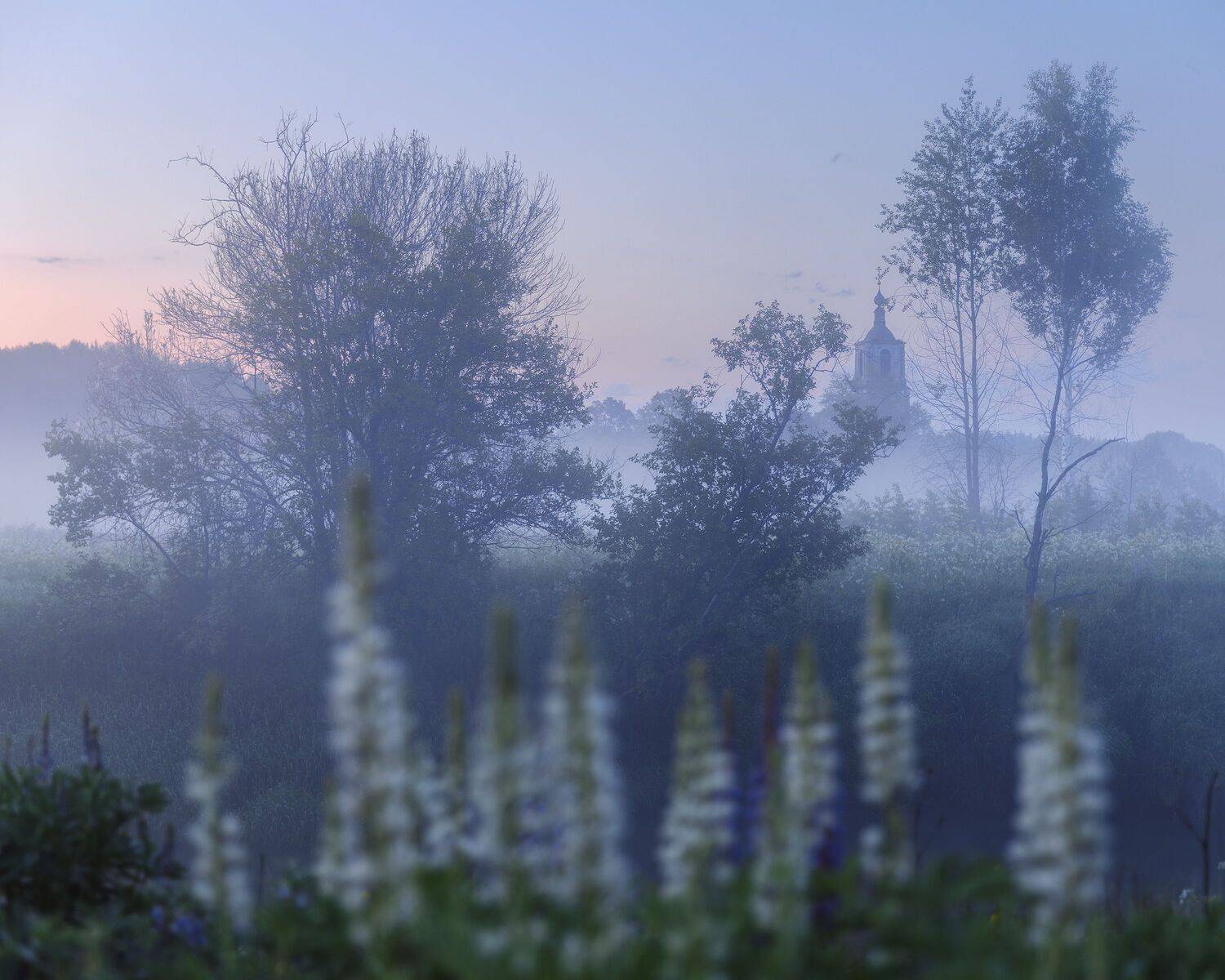 пейзаж, церковь, лето, туман, fog, landscape, church, Чаланов Иван