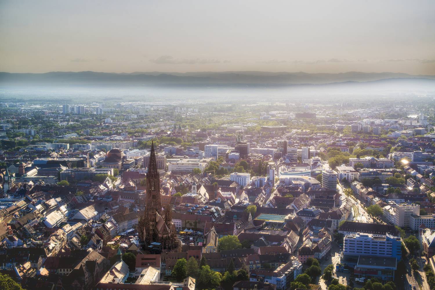 , Сигидова Ирина