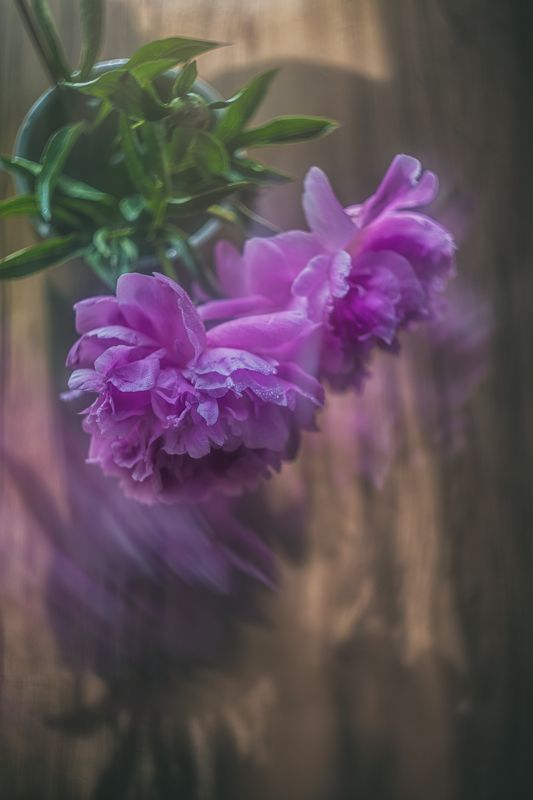 Утро фото превью