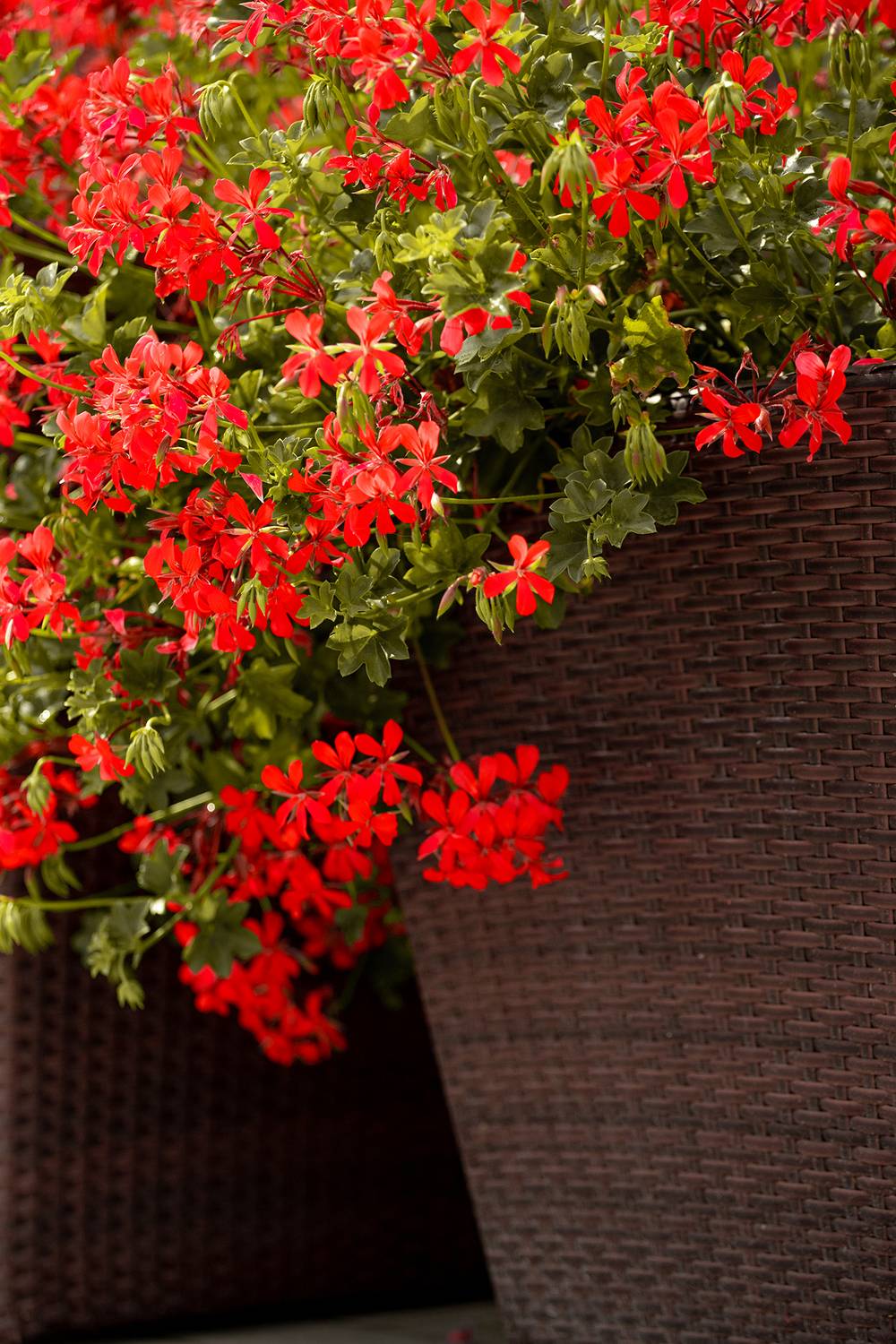 , Чудинин Дмитрий