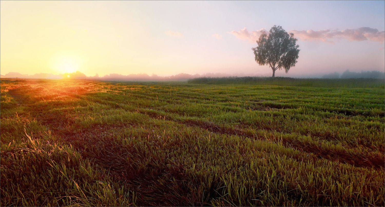 лето, утро, деревня, рассвет, пейзаж, свет, цвет, александр никитинский, Никитинский Александр