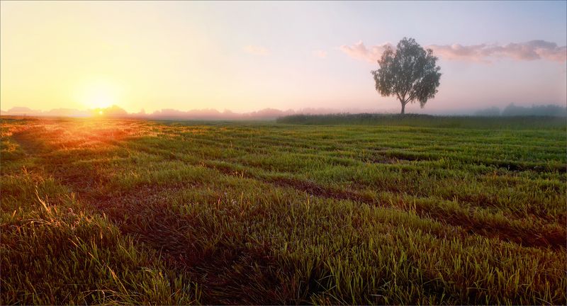 лето, утро, деревня, рассвет, пейзаж, свет, цвет, александр никитинский Утром в деревне... фото превью