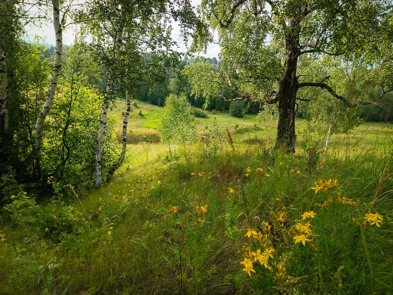 фото превью