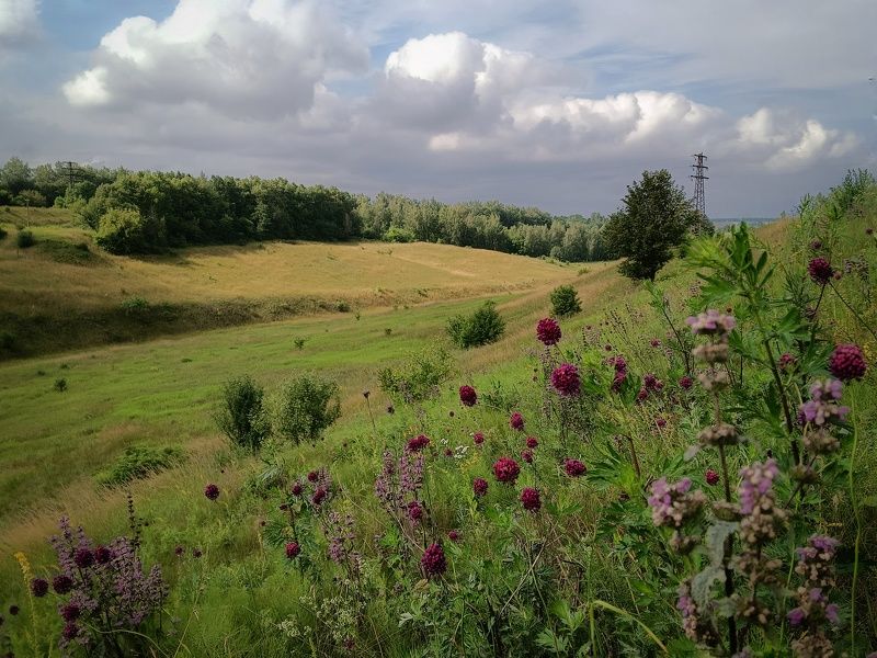 фото превью