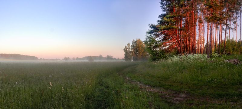 рассвет, лес, поле, туман, Ласковое утро фото превью