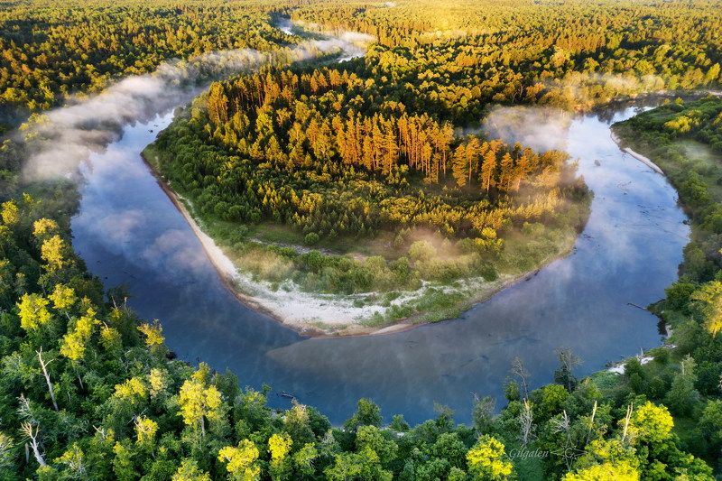 туман, рассвет, лес, река Пробуждение фото превью