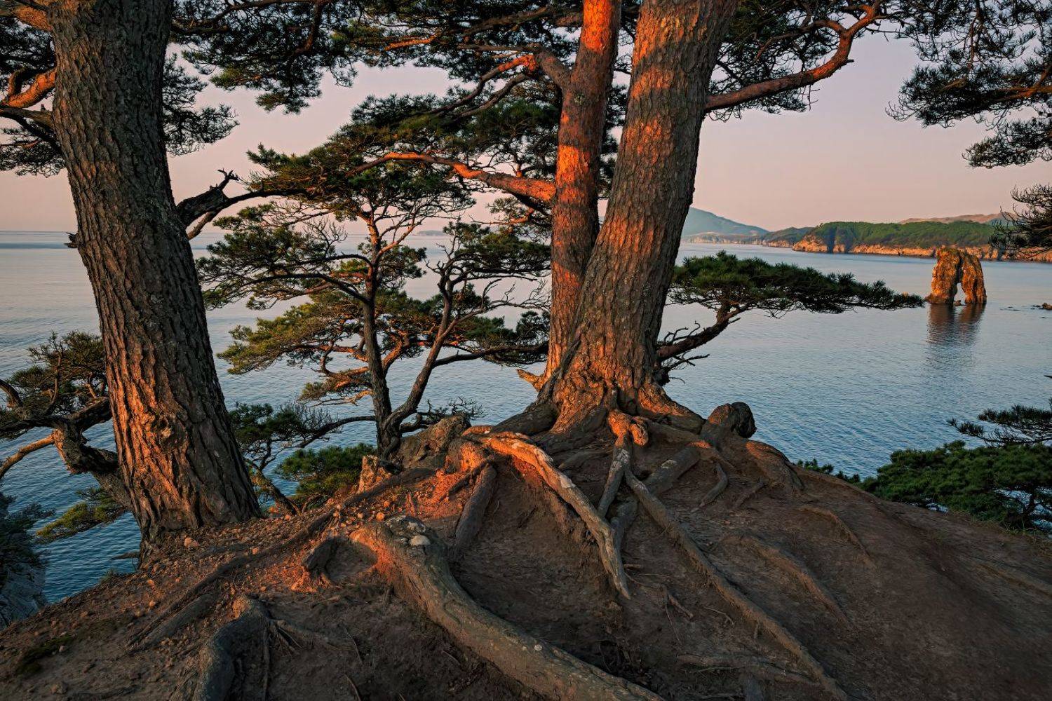 , Евгений Ерохин