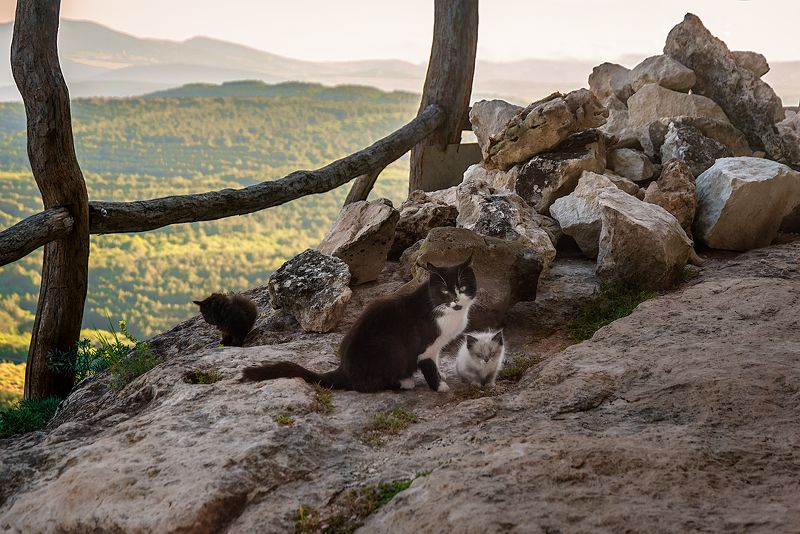Челтер-Мармара фото превью