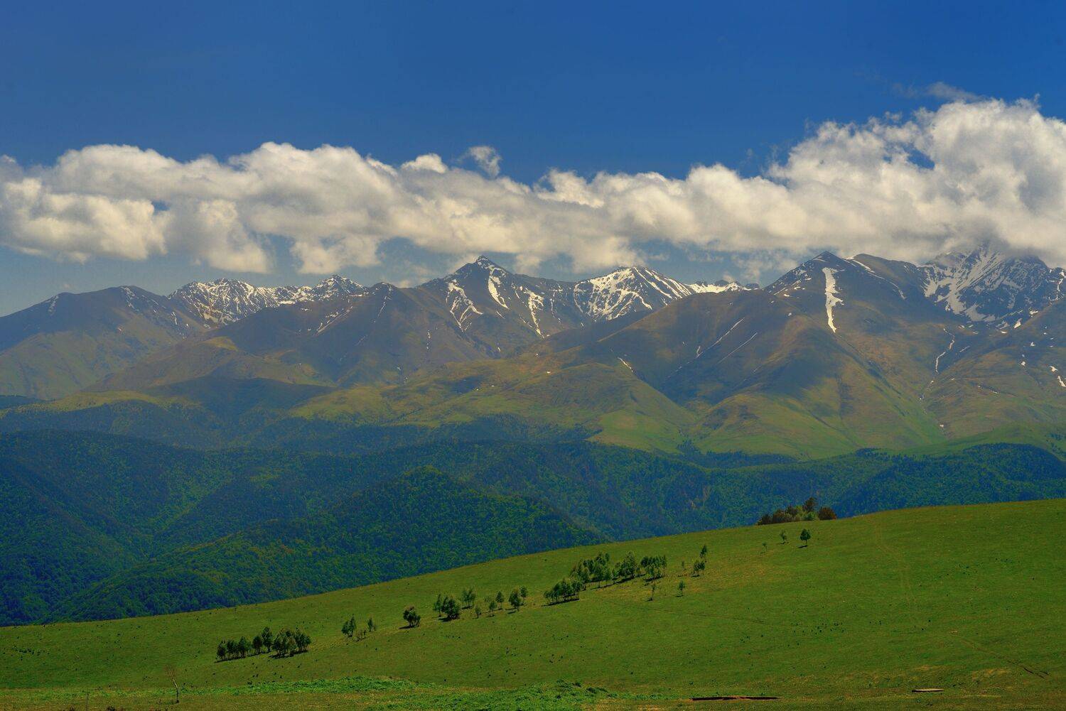 горы лето кавказ, Александр Жарников