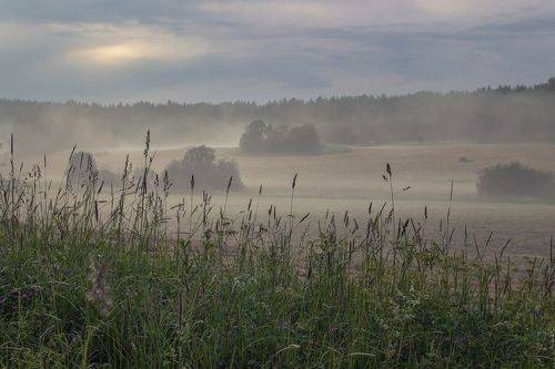 После грозы