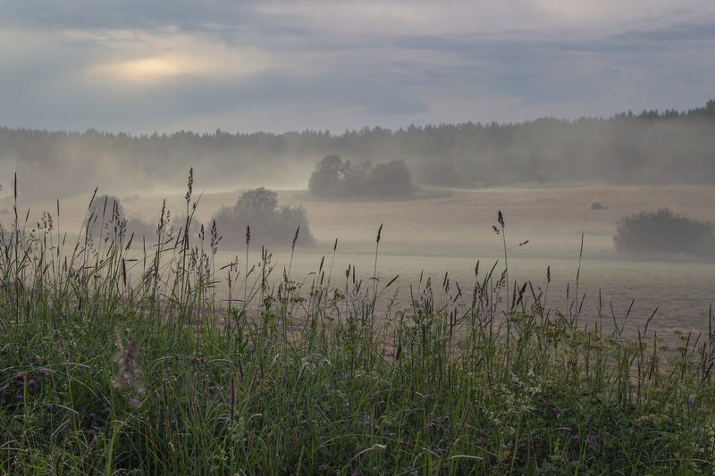туман, поле, вечер, луг После грозы фото превью