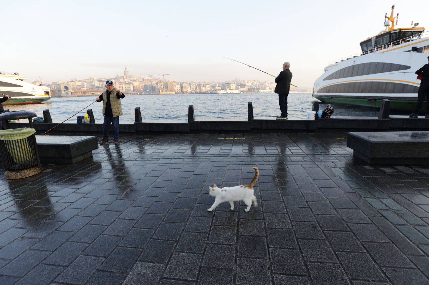 , Anastasiia Usoltceva