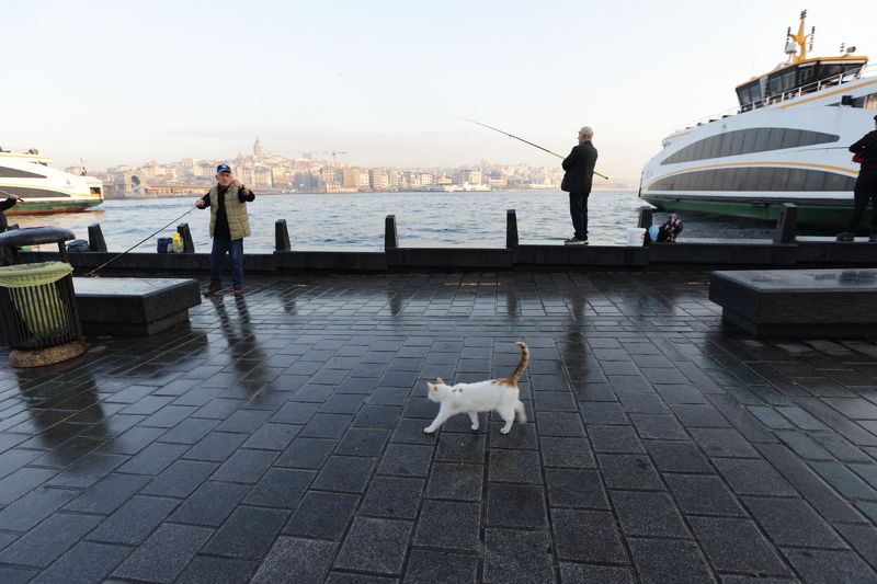 *** фото превью