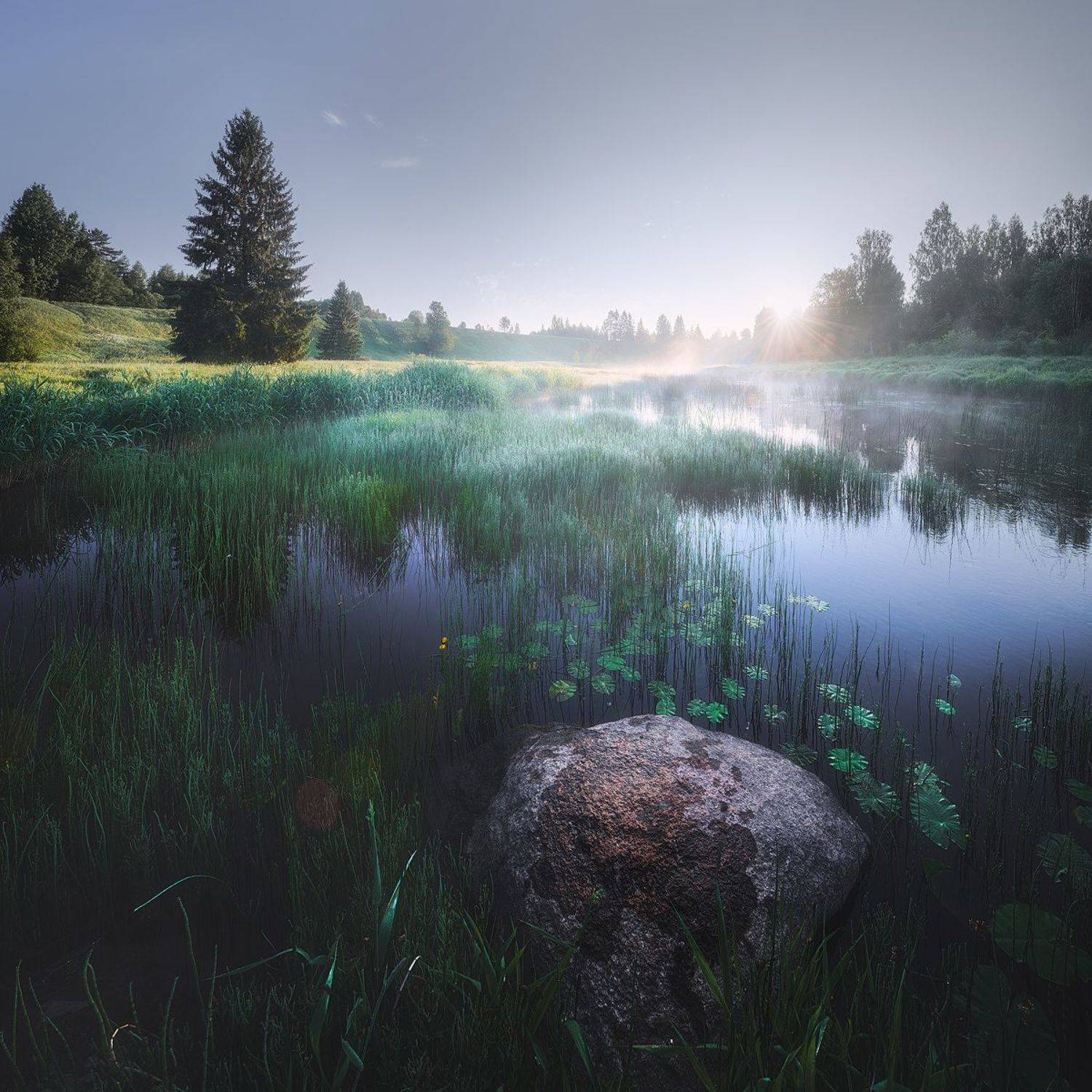 , Кононов Антон