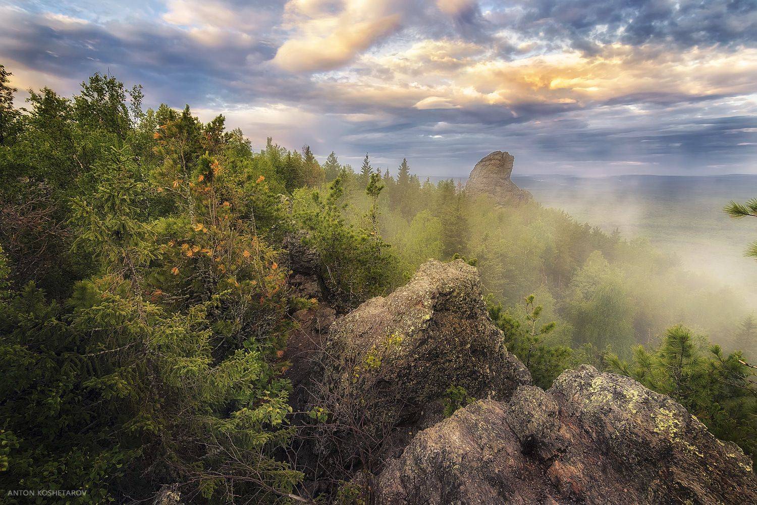 , Антон Кошетаров