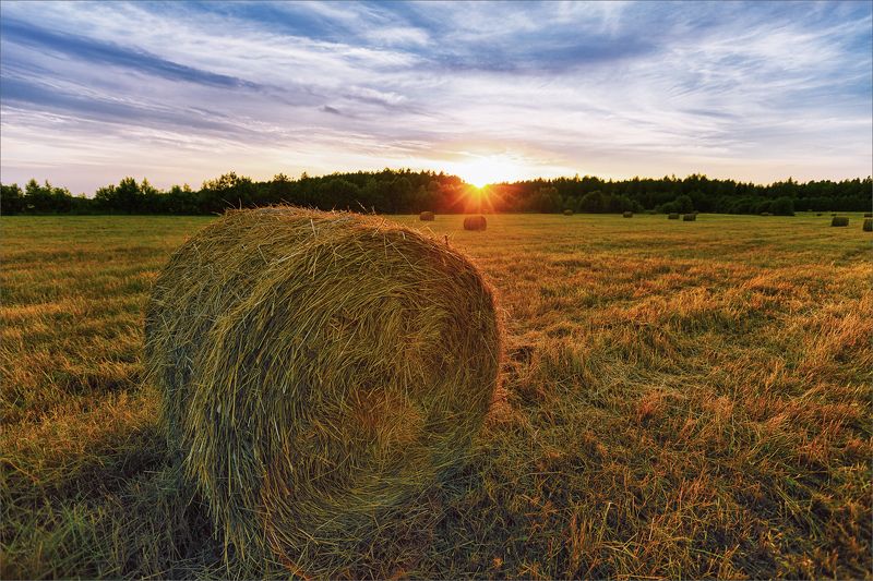 пейзаж, лето, вечер, деревня, поле, свет, цвет, александр никитинский Летний вечер в деревне... фото превью
