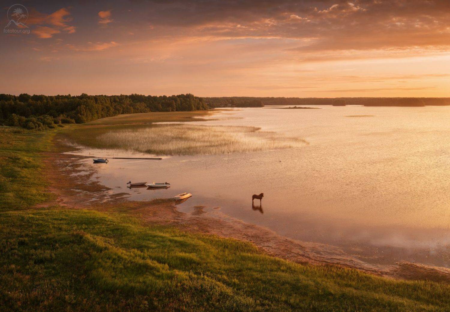 кенозерье, национальный парк, лето, фототуры по россии, русь, деревни, озеро, рассвет, конь, Гордиенко Анатолий