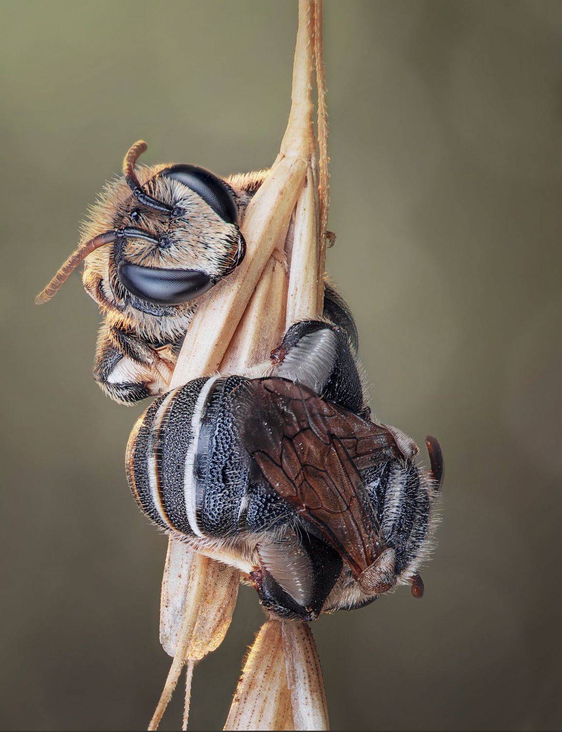 , Андрей Жила