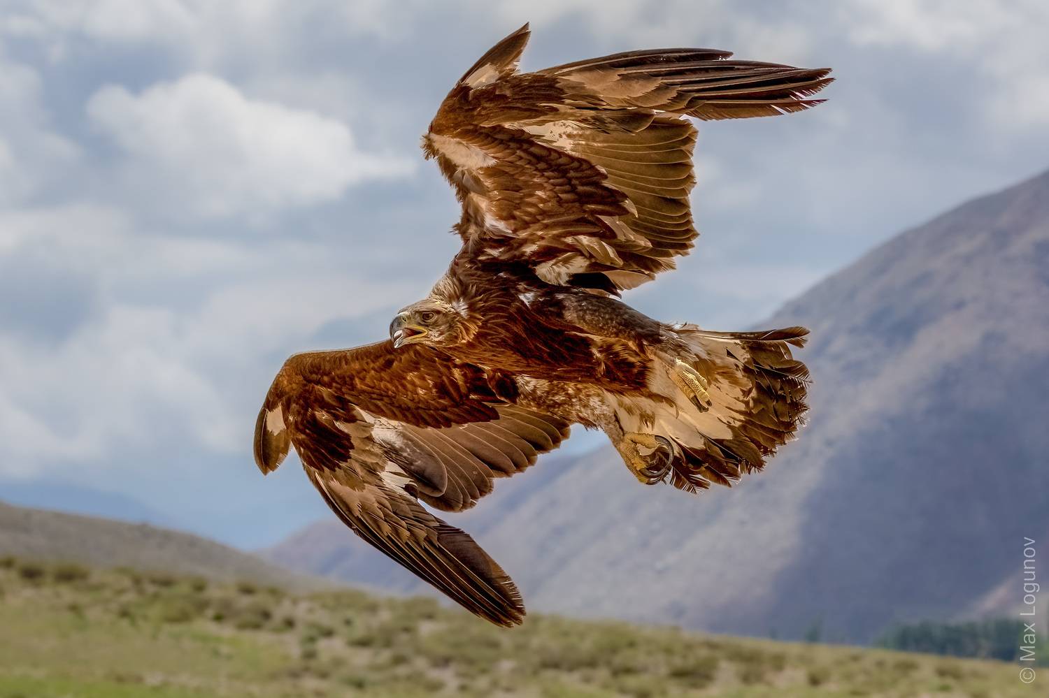 , Логунов Максим