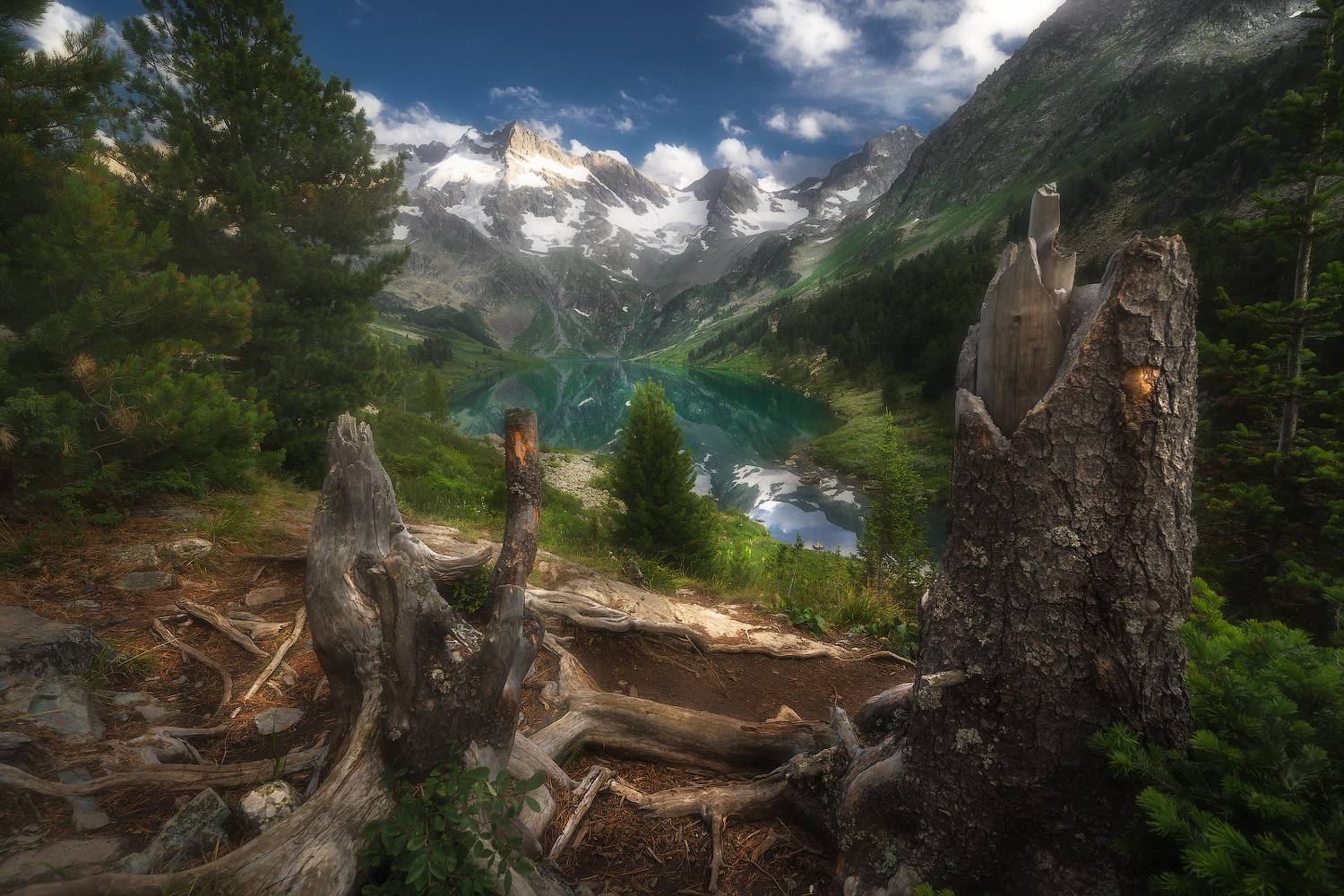 алтай, мульта, поперечное, Владимир Ляпин