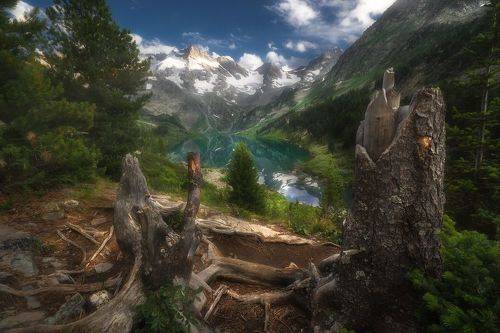 Окно в сказку