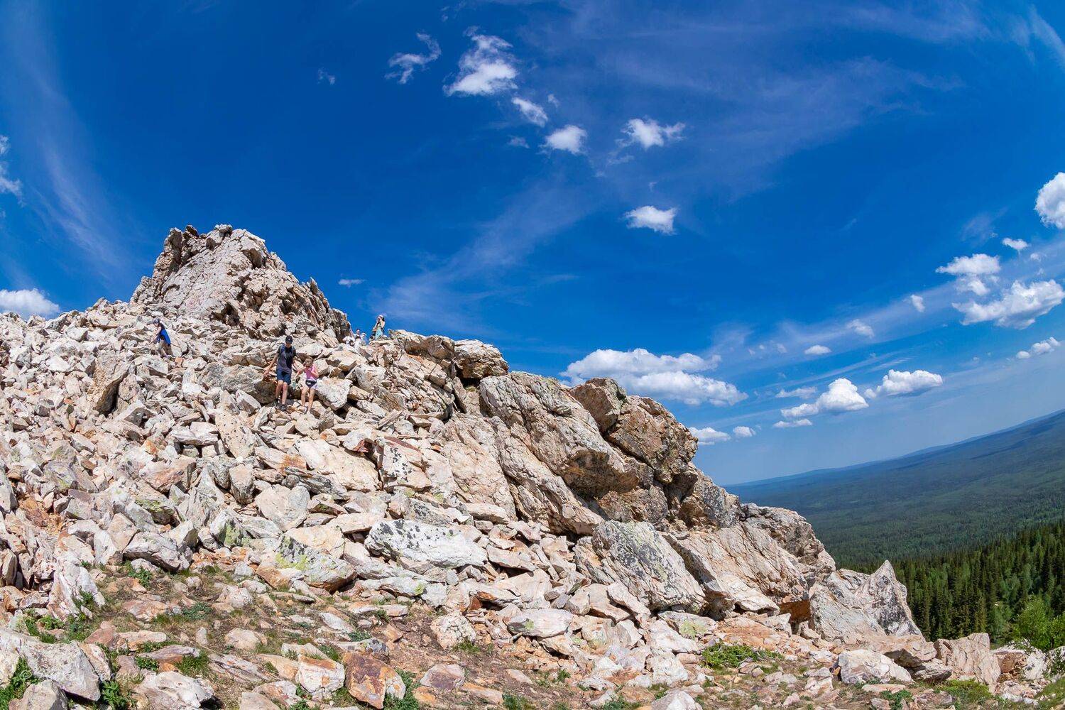 , Алексей Середенин