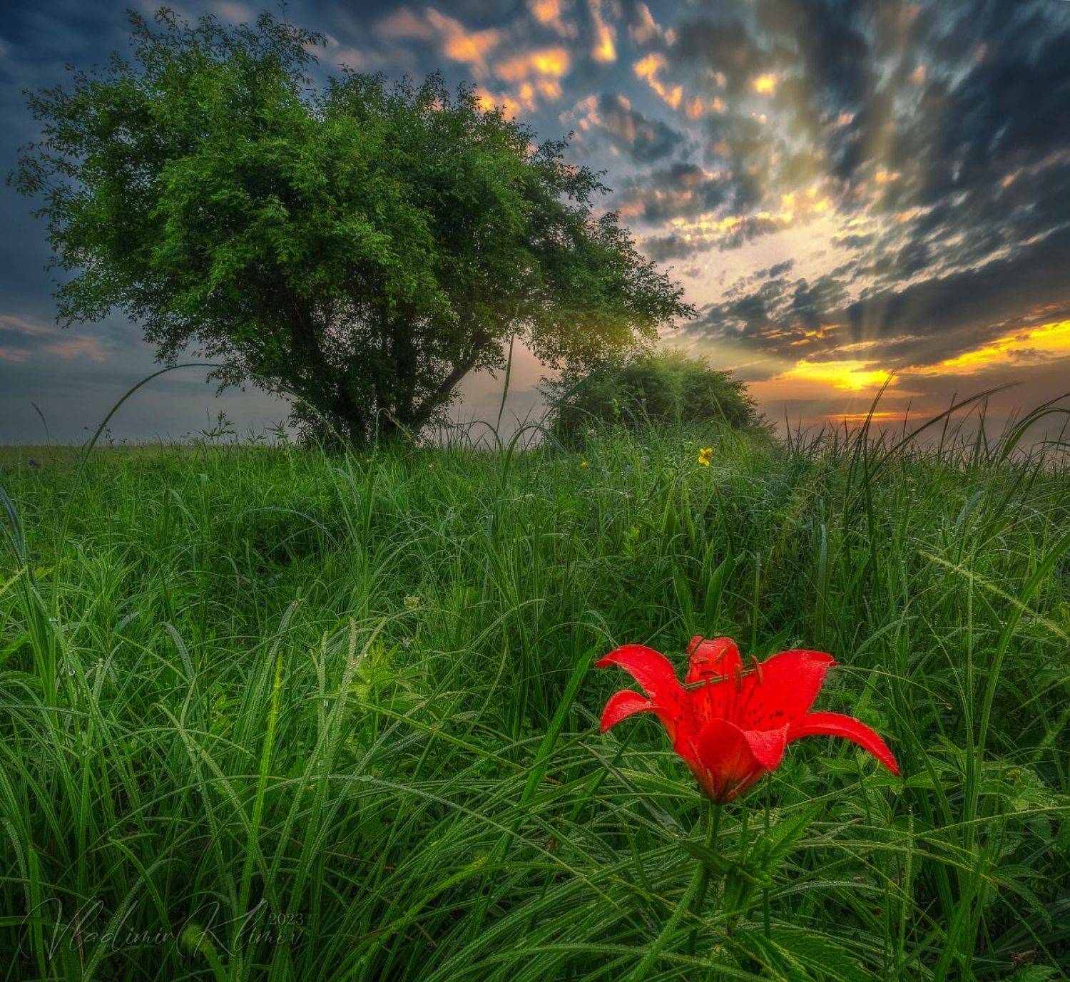 з, Владимир Климов