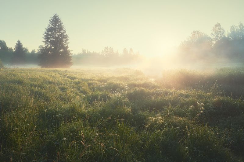 *** фото превью