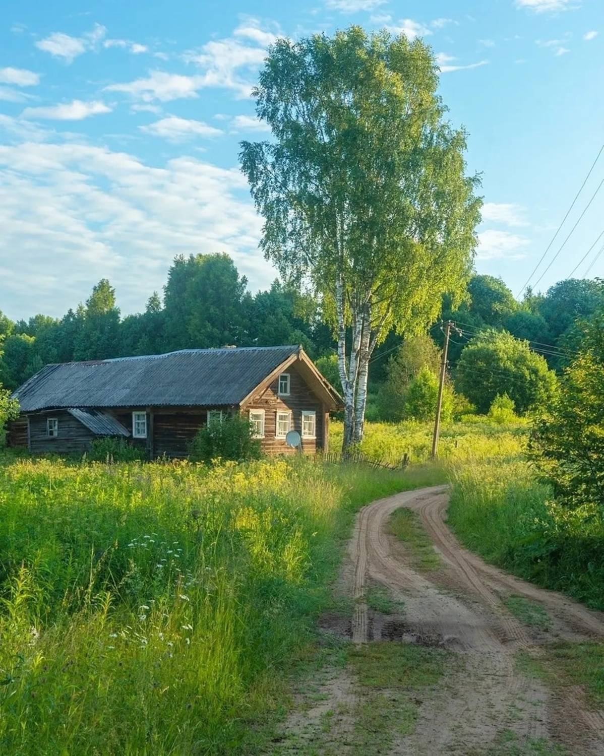 , Петр Косых
