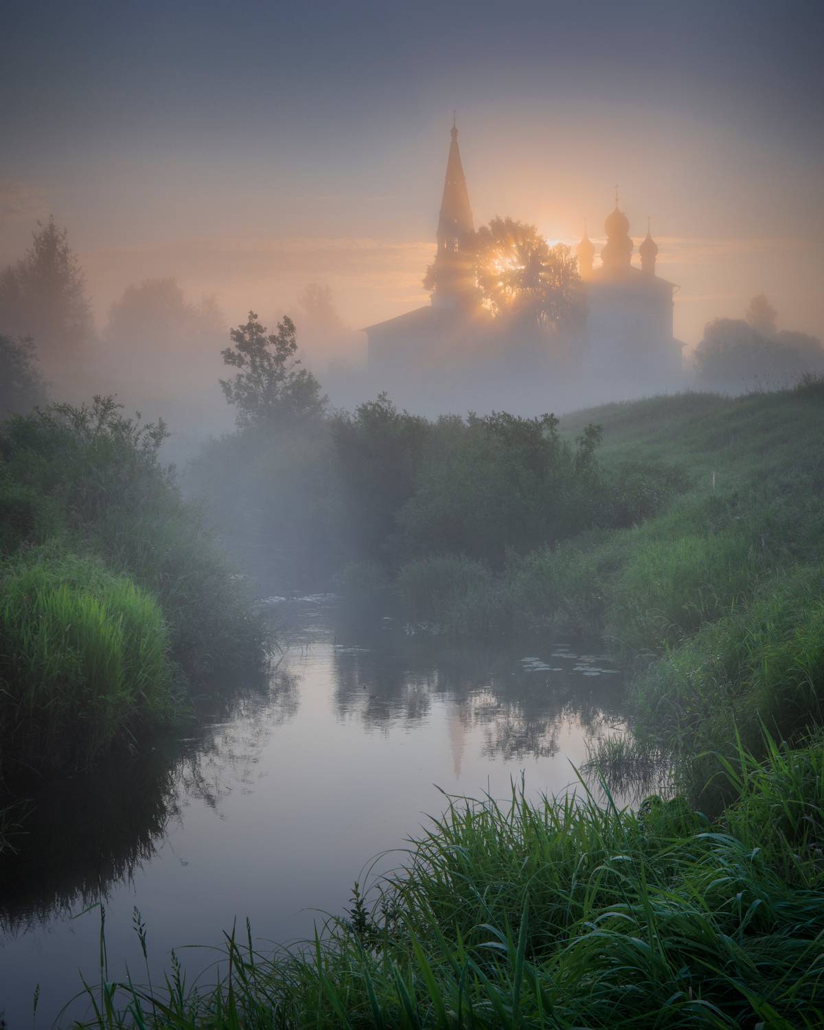 осенево, ярославская область, туманное утро, Захарова Наталья