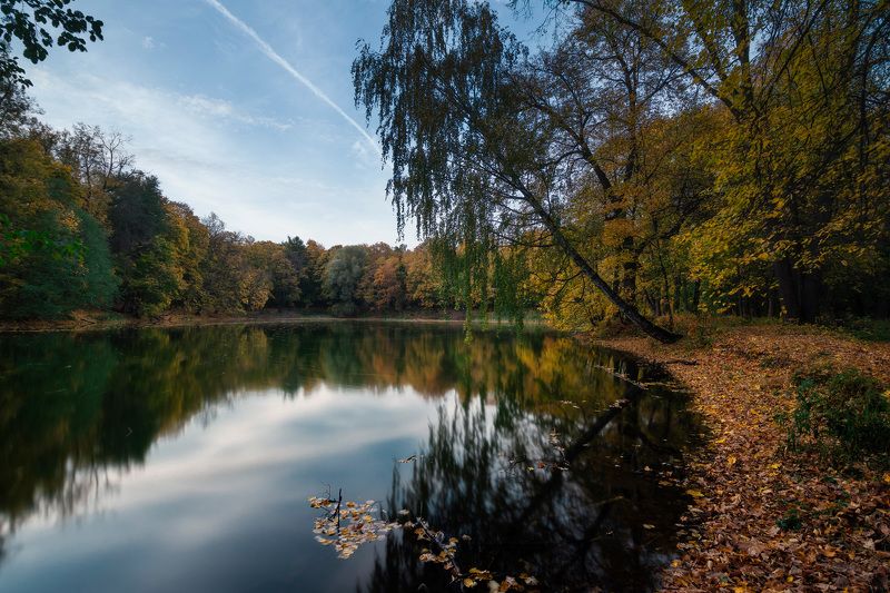 деревья, осень, пруд, отражения В заброшенном парке фото превью