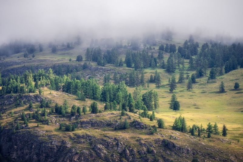 Туман над перевалом…  Fog over the pass... фото превью