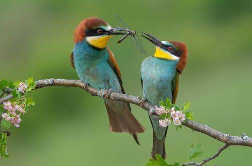 Признание в любви