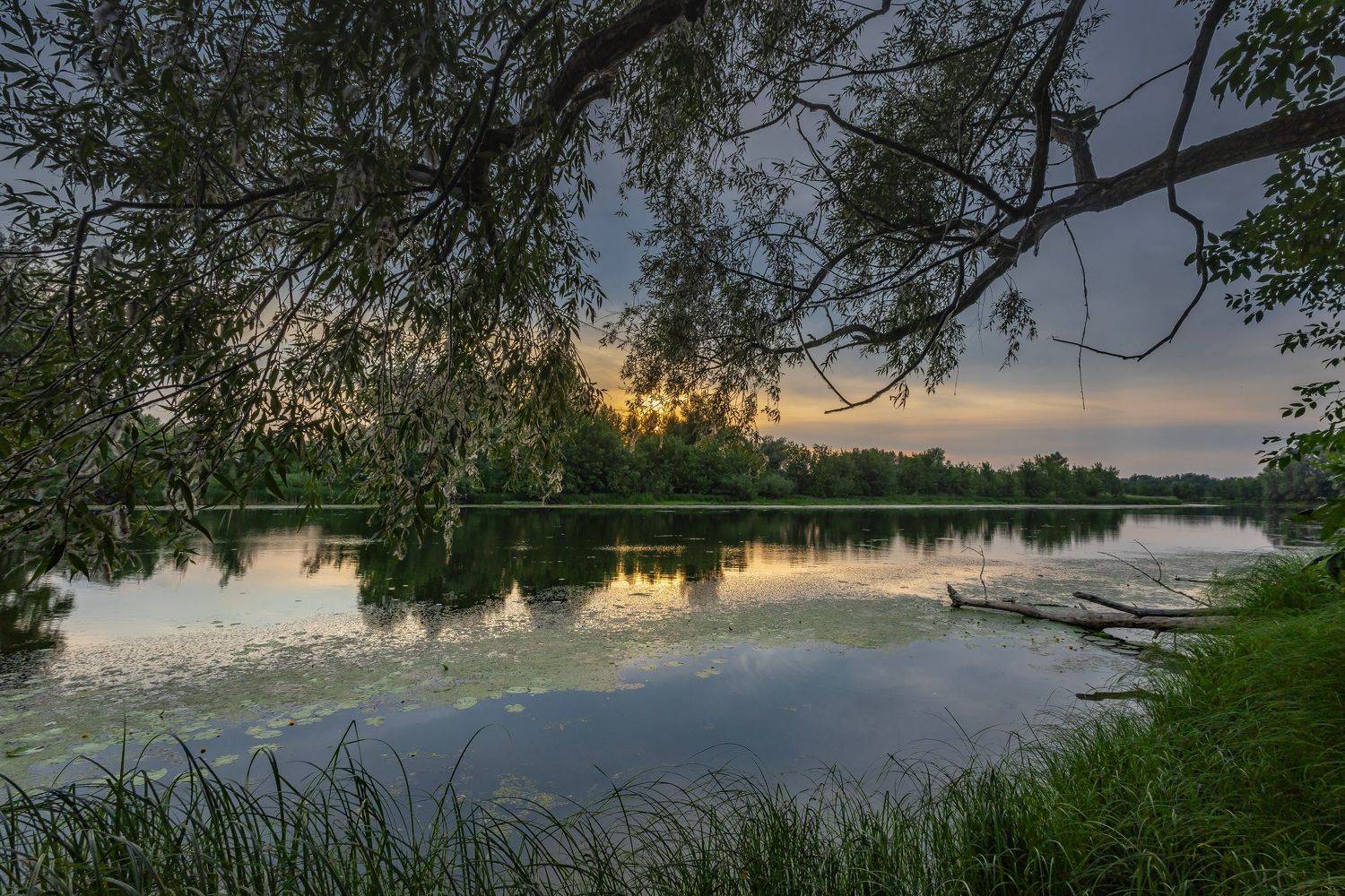 , Подосинников Максим