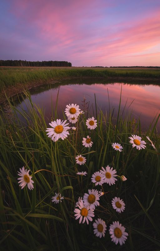 Вечер июля фото превью