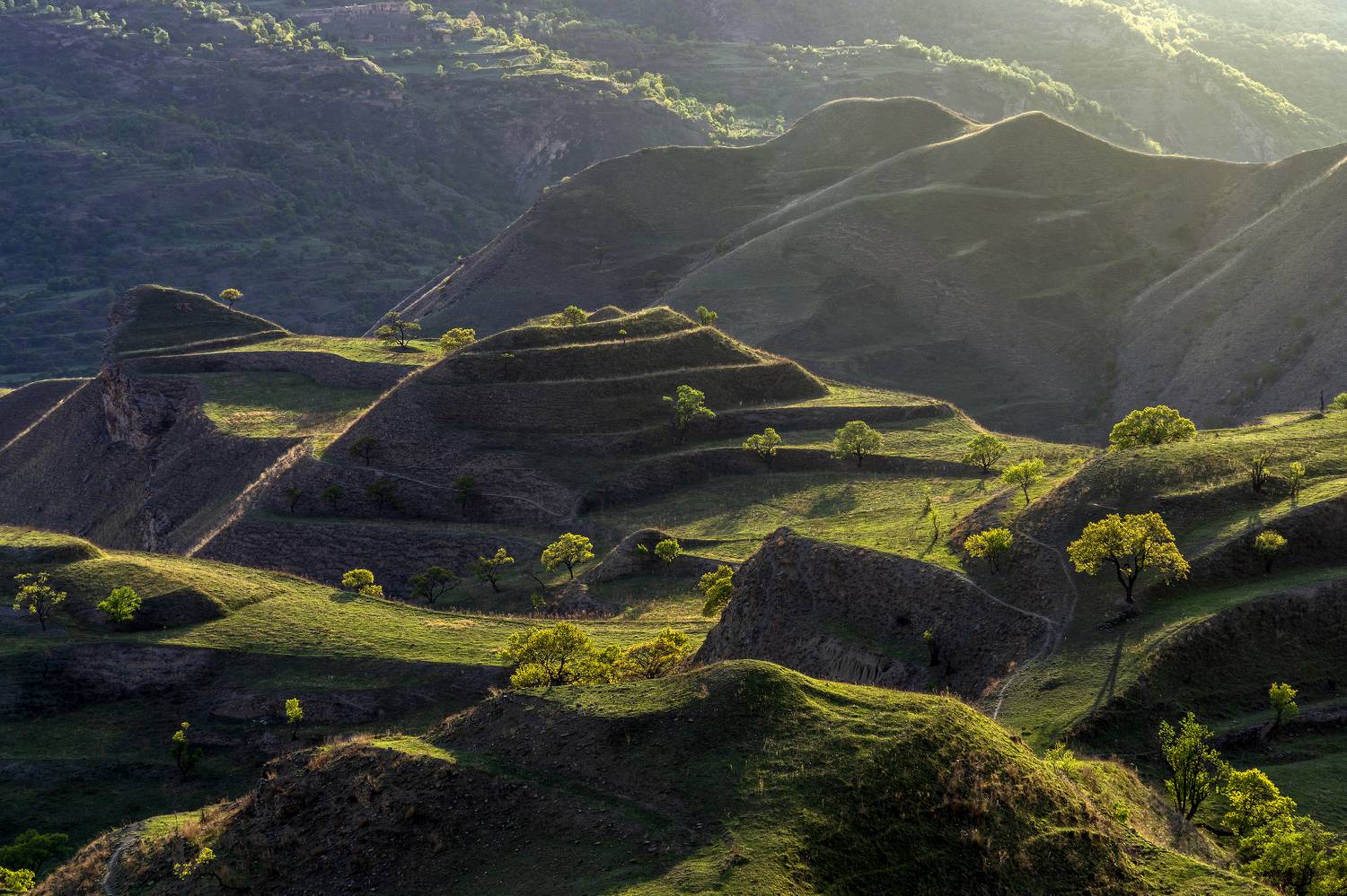 Дагестан, Елена Гусева