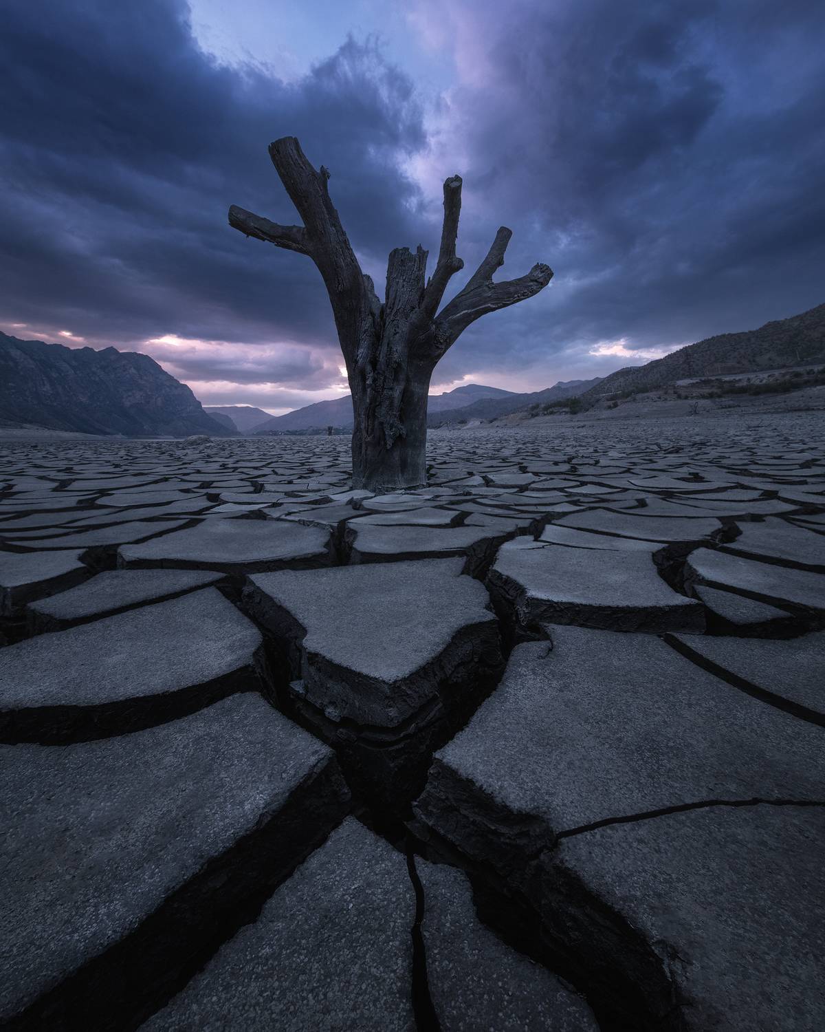 , Политова Анна