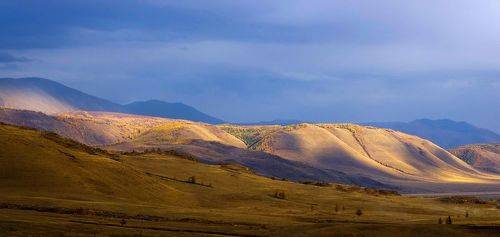 Вечерний свет